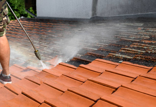 Garage Pressure Washing in Forney, TX