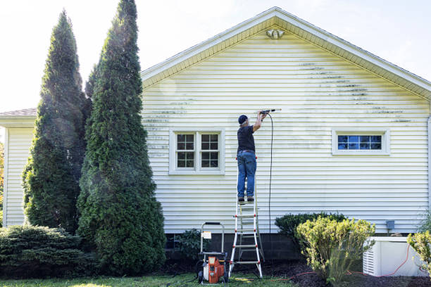 Best Exterior Home Cleaning  in Forney, TX