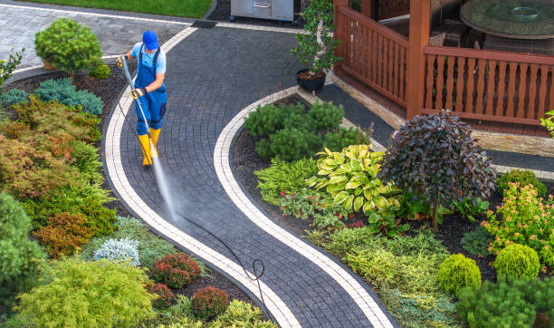 Best Affordable Pressure Washing  in Forney, TX